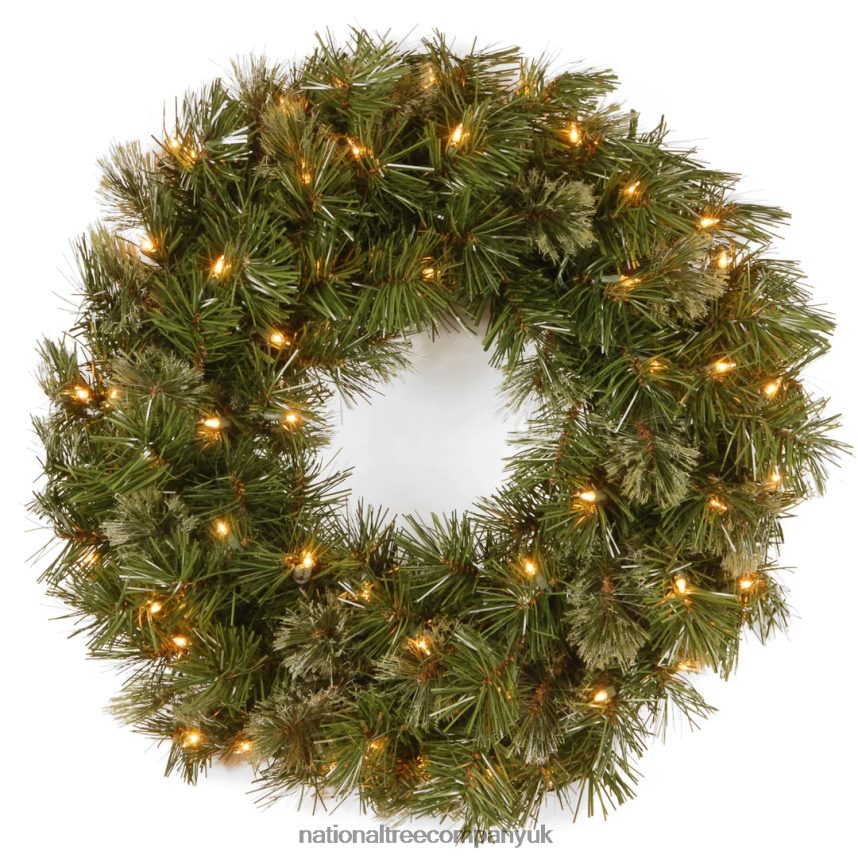 Greenery | National Tree Company Pre-Lit Artificial Christmas Wreath Green Wispy Willow White Lights Christmas Collection 24 Inches F2L4F251